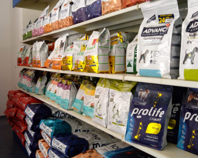 0WO0N000002YkPtWAK_mangiare-cani