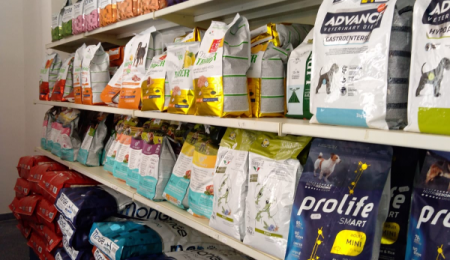 0WO0N000002YkPtWAK_mangiare-cani