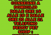 Peggy Pet Shop