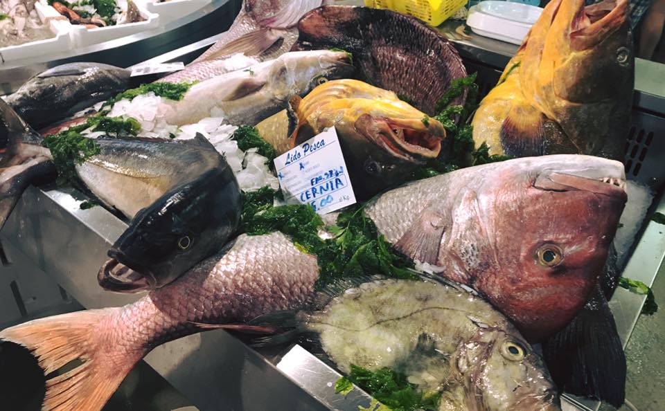 Centro Ittico da Ernesto Terracina