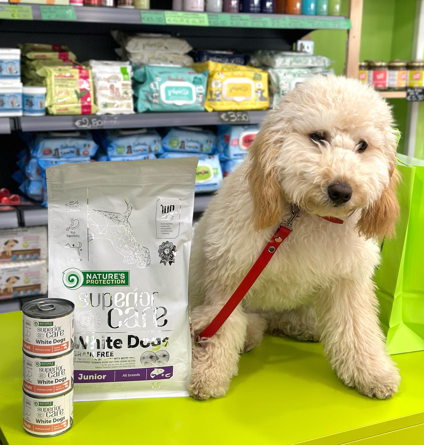 La Boutique degli Animali Official