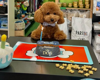 431909259_17956677206740146_346226586997031406_n