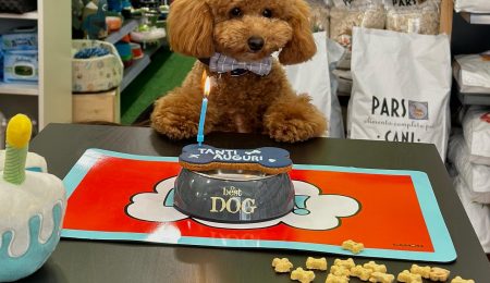 431909259_17956677206740146_346226586997031406_n