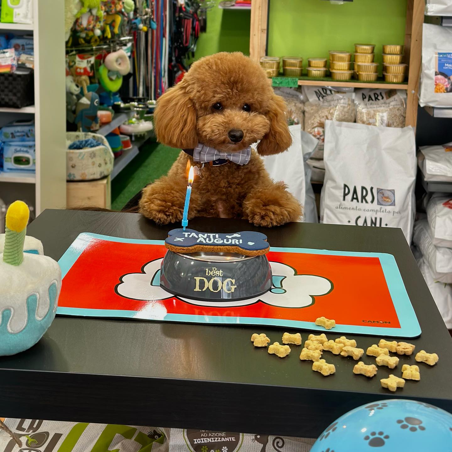 La Boutique degli Animali Official