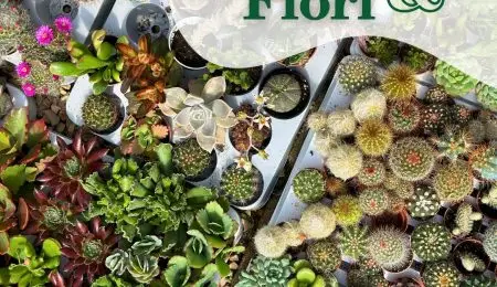 448981490_880941057363921_3743889273069858050_n