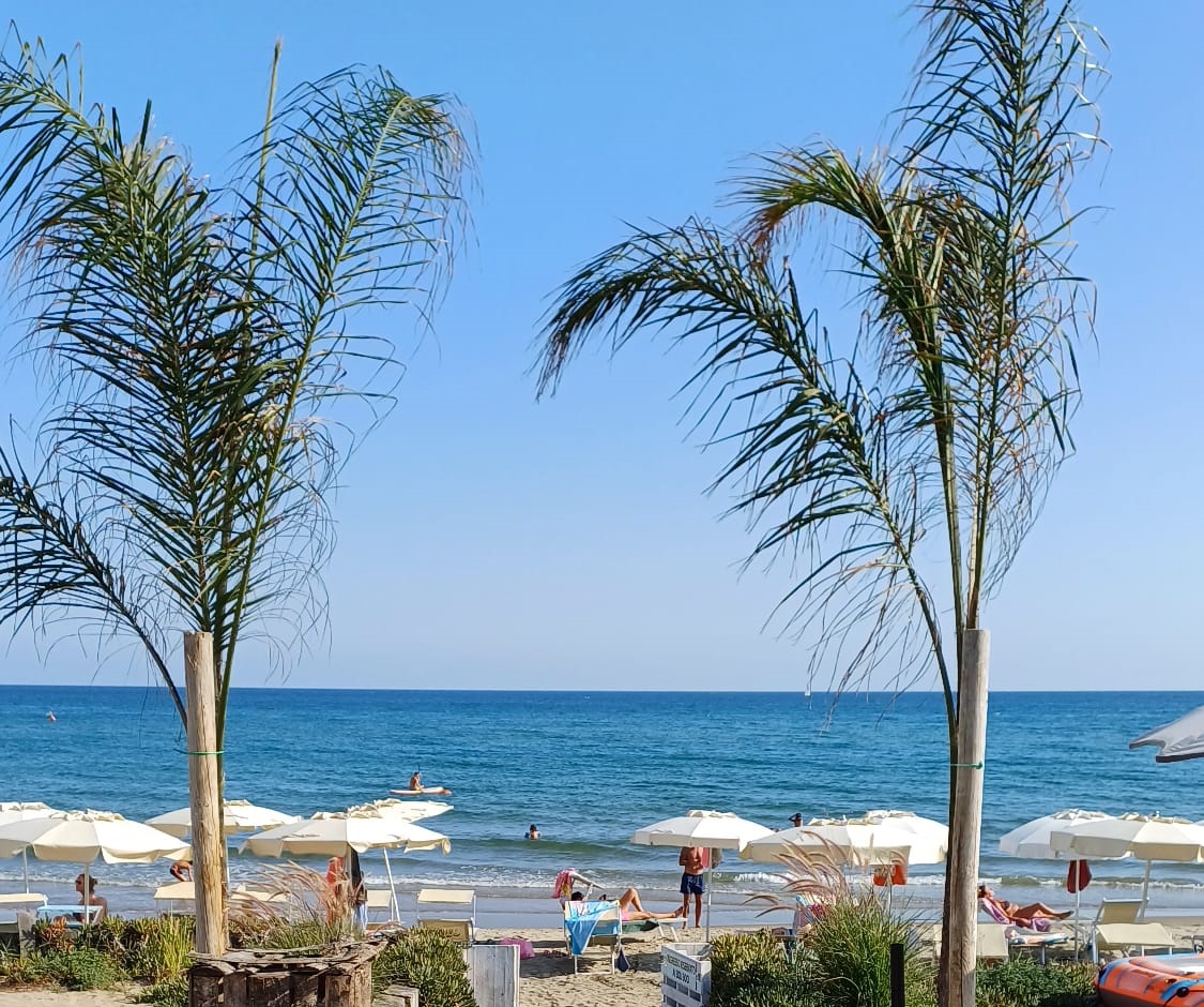 A.P.S. Il Fico D’India