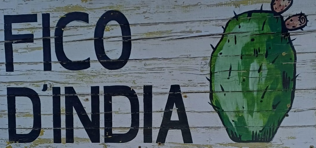 A.P.S. Il Fico D’India