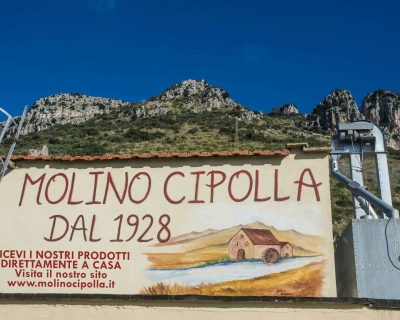 304900107_443522821131951_4720851216991597740_n