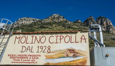 304900107_443522821131951_4720851216991597740_n