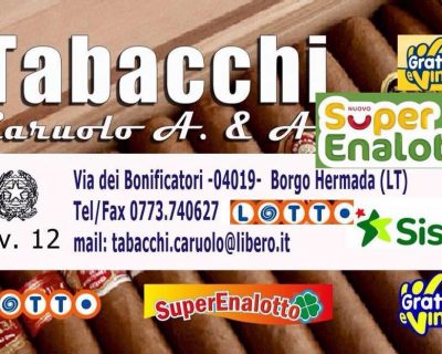 308638403_512844170844900_4019420180413268_n